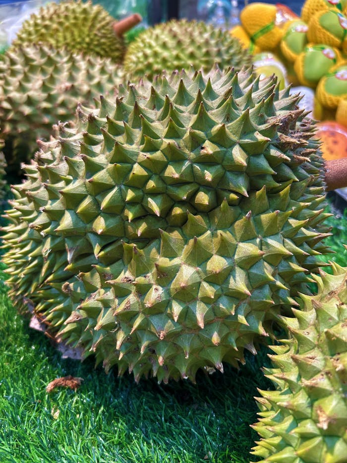 why-choose-us Free stock photo of durian, durian basket, durian closeup